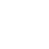 sp-phone-white-icon.png